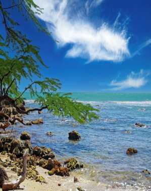 Treasure Beach