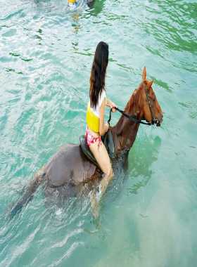 Horse back Riding